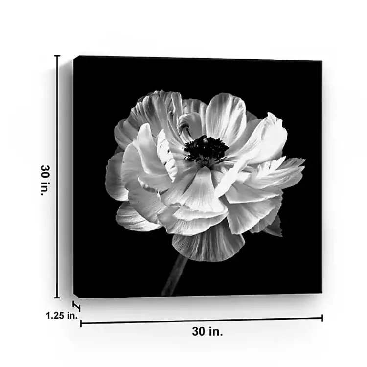 Canvas Art-Kirklands Home Noir Ranunculus Floral Giclee Canvas Art Print