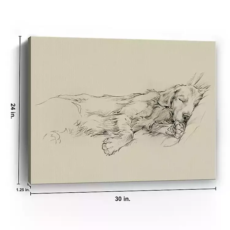 Canvas Art-Kirklands Home Dog Days III Canvas Art Print