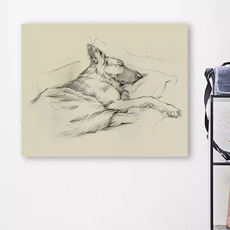 Canvas Art-Kirklands Home Dog Days IV Canvas Art Print