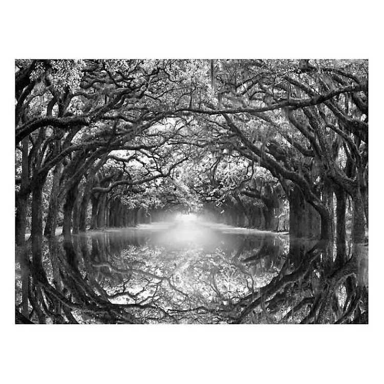 Canvas Art-Kirklands Home Oak Alley Reflection Giclee Canvas Art Print