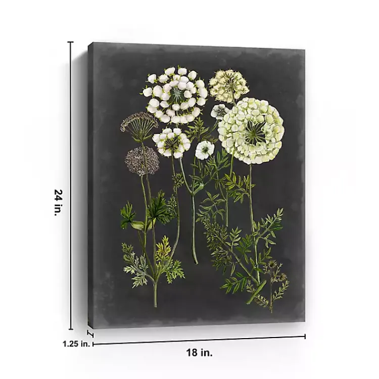 Canvas Art-Kirklands Home Bookplate Floral II Giclee Canvas Art Print