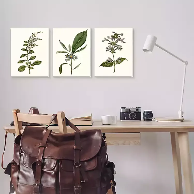 Framed Art-Kirklands Home Minimal Soft Flowers Framed Art Prints, Set of 3