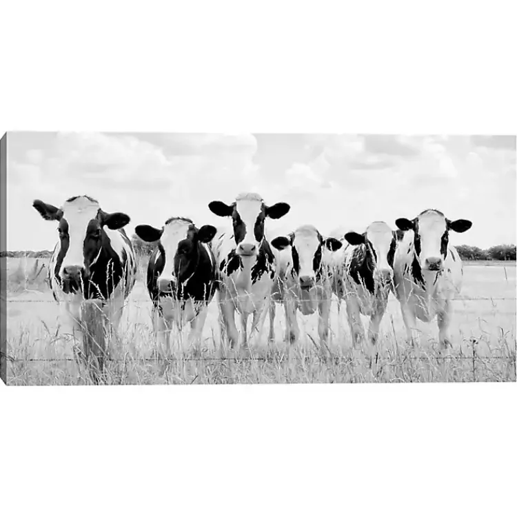 Canvas Art-Kirklands Home Grazing Cow Monochrome Canvas Art Print, 35x17 in.