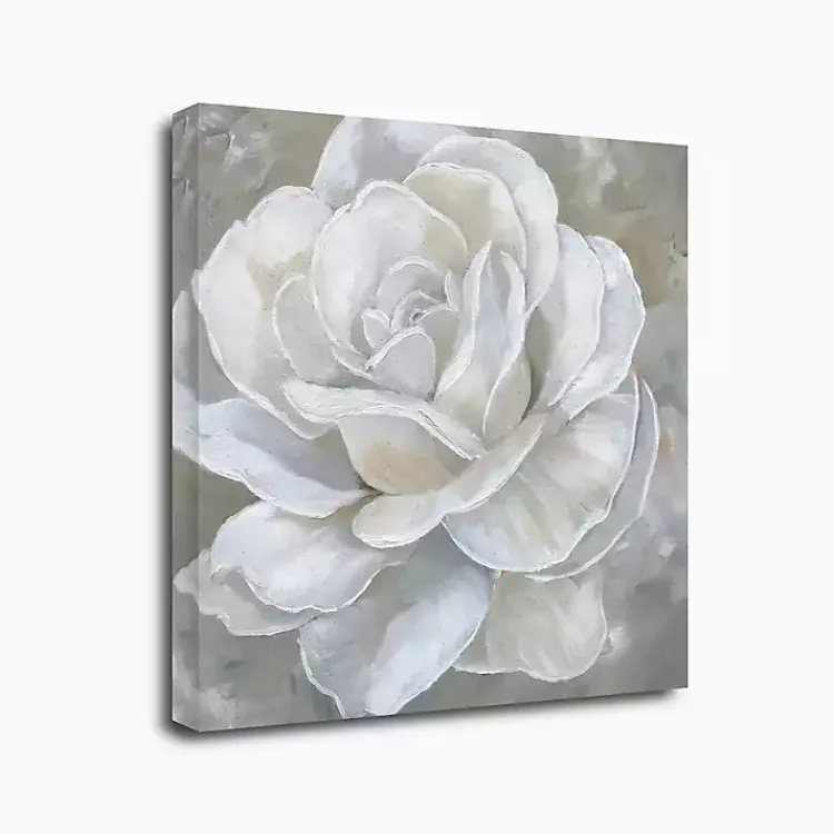 Canvas Art-Kirklands Home Bombshell Bloom II Canvas Art Print, 20x20 in.