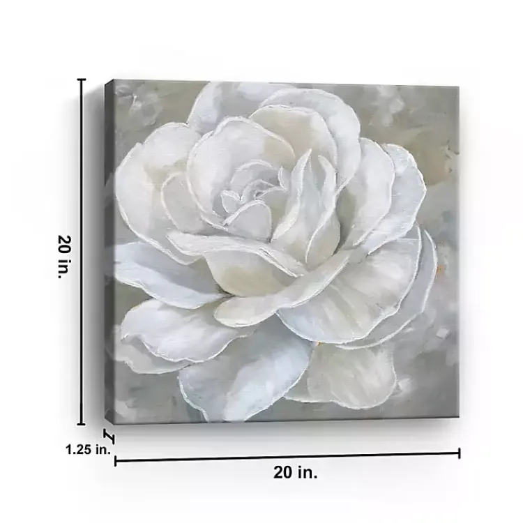 Canvas Art-Kirklands Home Bombshell Bloom II Canvas Art Print, 20x20 in.
