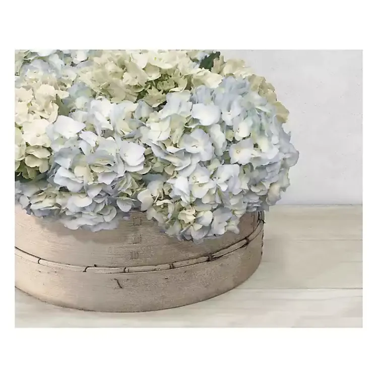 Canvas Art-Kirklands Home Hydrangea Cluster Canvas Art Print