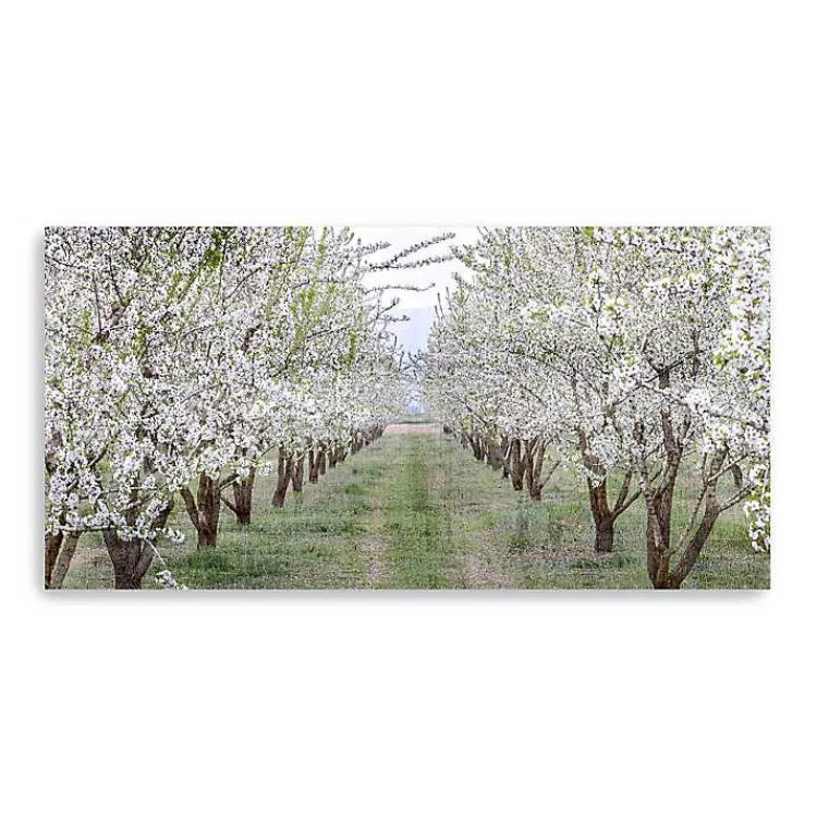 Canvas Art-Kirklands Home Countryside Path Canvas Art Print