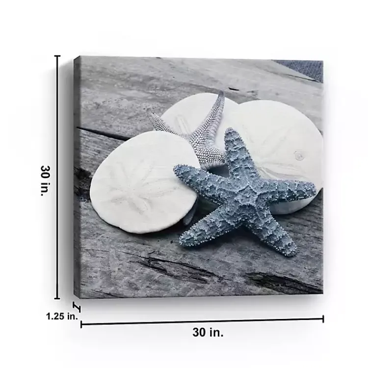 Canvas Art-Kirklands Home Driftwood Shell IV Canvas Art Print, 30x30 in.