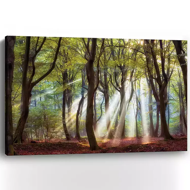 Canvas Art-Kirklands Home Majestic Morning Giclee Canvas Art Print Green