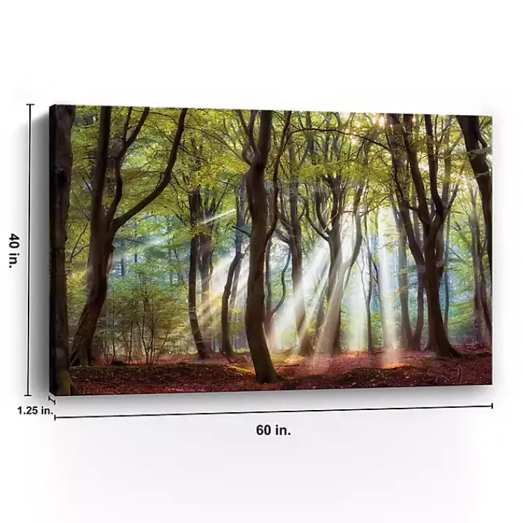 Canvas Art-Kirklands Home Majestic Morning Giclee Canvas Art Print Green