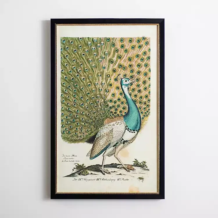 Framed Art-Kirklands Home Peacock Framed Wall Art
