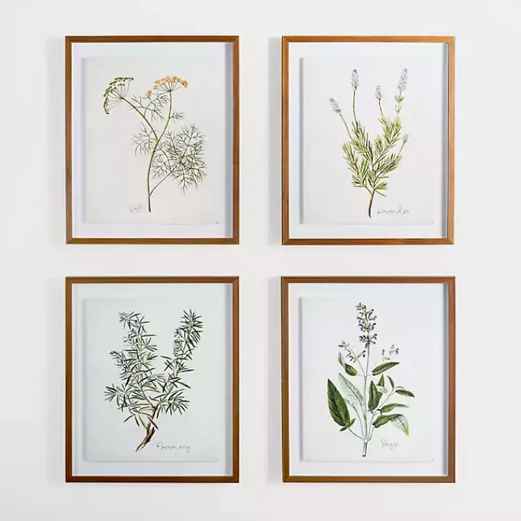 Framed Art-Kirklands Home Golden Leaves Herbs Dill Framed Art Print
