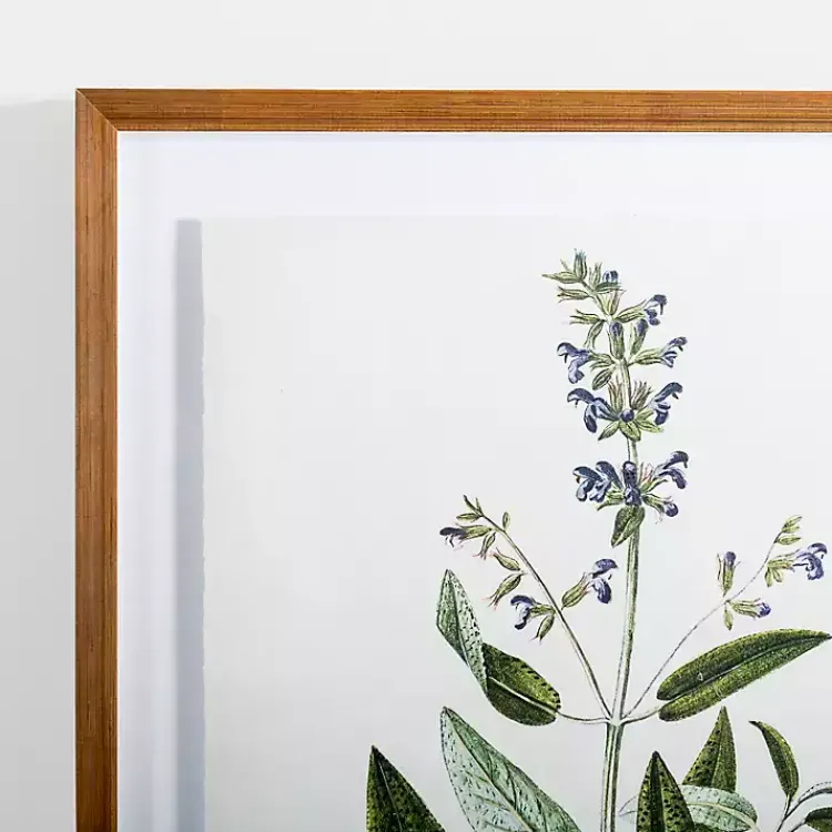 Framed Art-Kirklands Home Golden Leaves Herbs Sage Framed Art Print