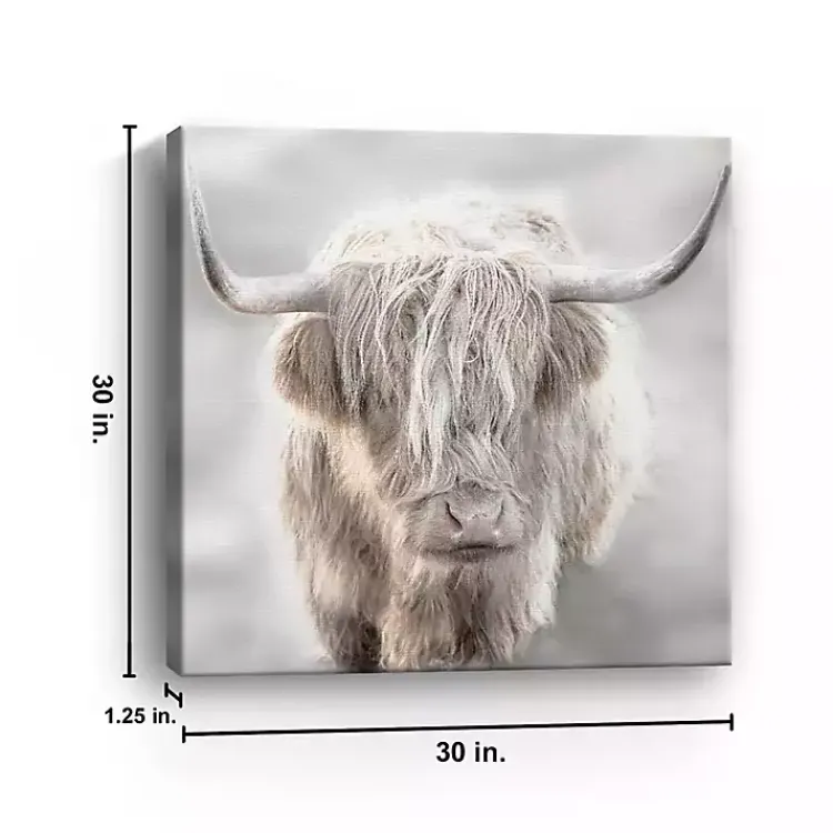 Canvas Art-Kirklands Home Soft Solo Highland Giclee Canvas Art Print Gray