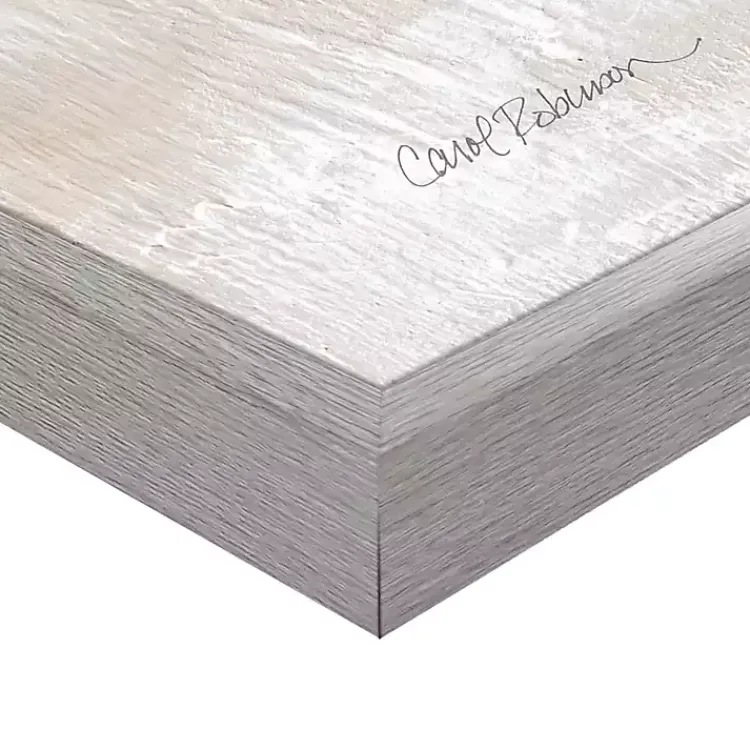 Canvas Art-Kirklands Home Desert Floor Framed Canvas Art Print Gray