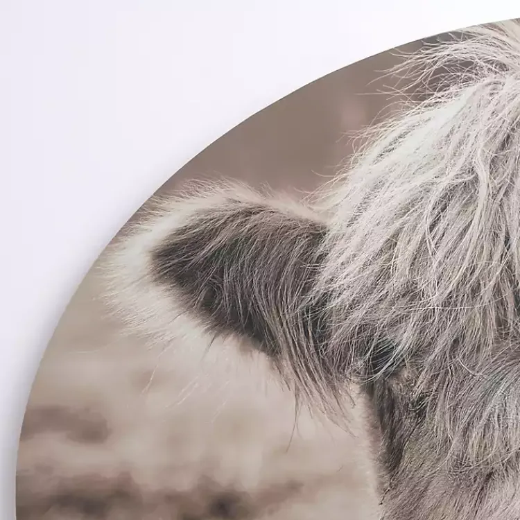 Canvas Art-Kirklands Home Highland Cow Arched Canvas Art Print Brown