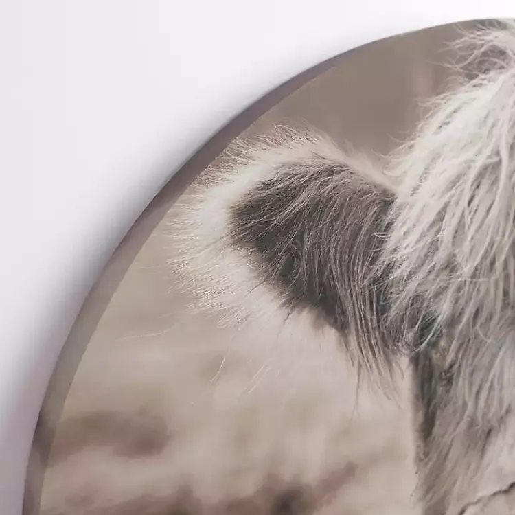 Canvas Art-Kirklands Home Highland Cow Arched Canvas Art Print Brown