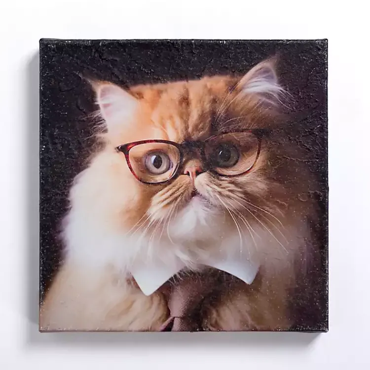 Canvas Art-Kirklands Home Pippa the Cat Canvas Art Print