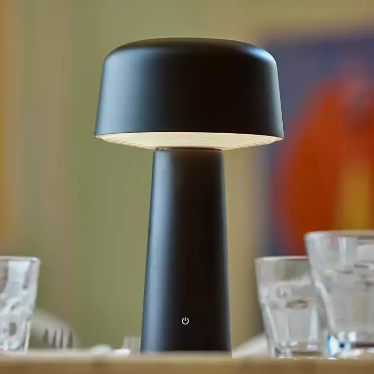 Outdoor Lighting-Kirklands Home Metal Dome Frosted Light Cordless Table Lamp Black
