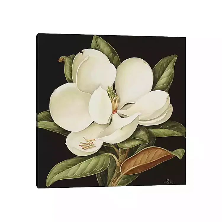 Canvas Art-Kirklands Home Magnolia Grandiflora Canvas Art Print