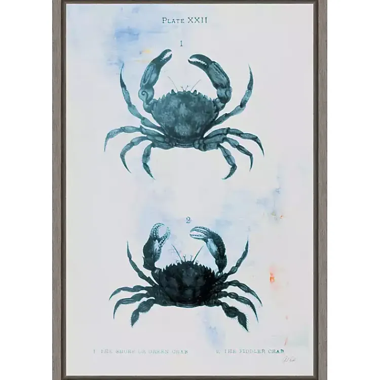 Canvas Art-Kirklands Home Blue Bay Crabs Framed Canvas Art Print