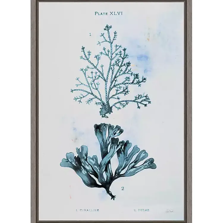 Canvas Art-Kirklands Home Blue Bay Coral Framed Canvas Art Print