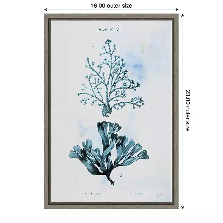 Canvas Art-Kirklands Home Blue Bay Coral Framed Canvas Art Print