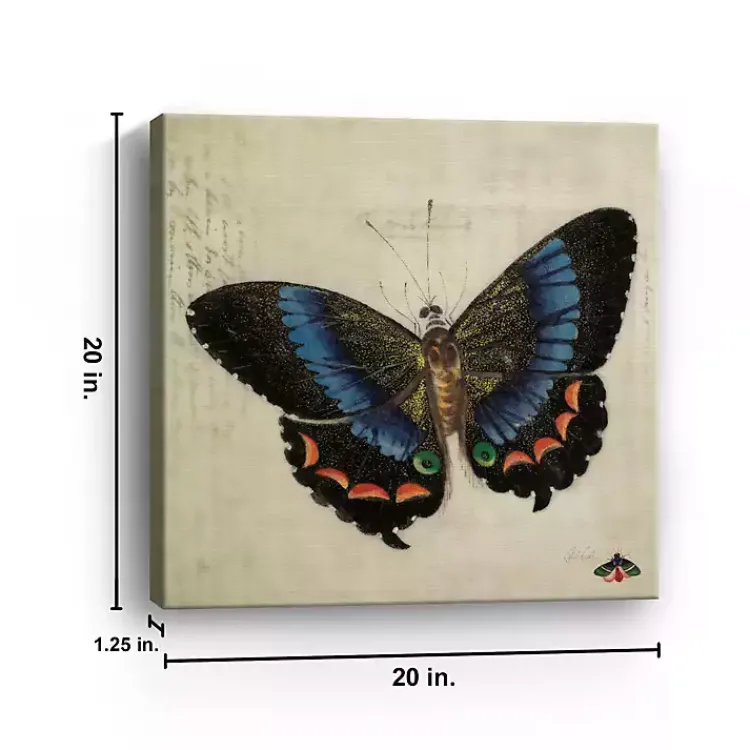 Canvas Art-Kirklands Home Blue Vintage Butterfly Canvas Art Print