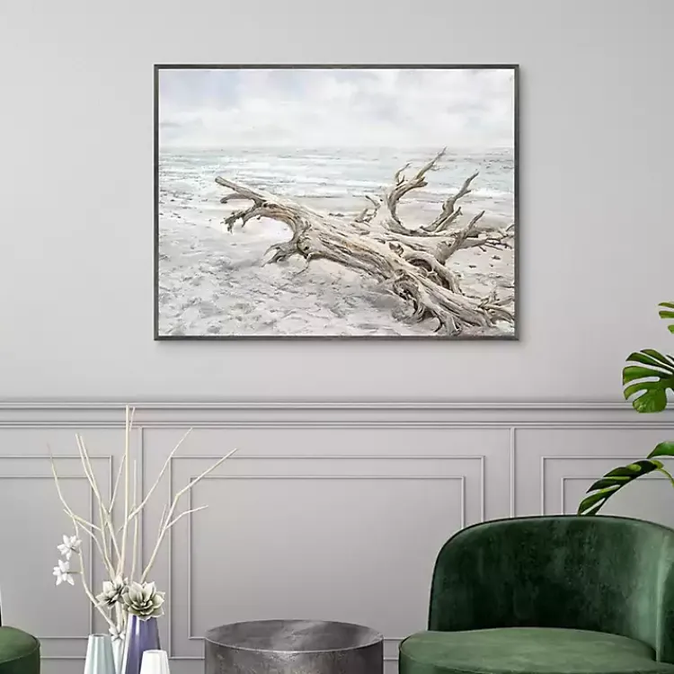 Canvas Art-Kirklands Home Driftwood On The Beach Framed Canvas Art Print Multi