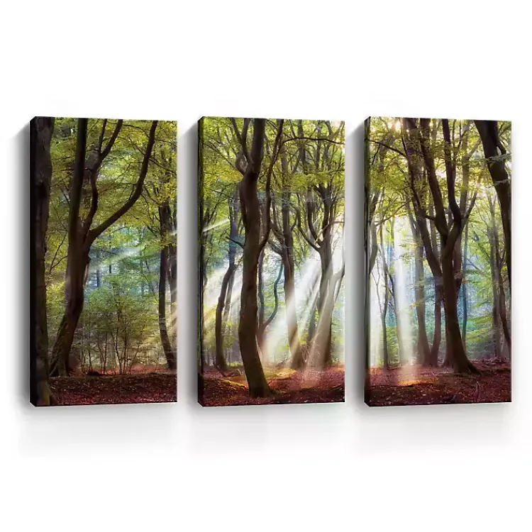 Canvas Art-Kirklands Home Majestic Morning Canvas Art Prints, Set of 3 Green